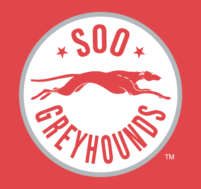 Sault Ste. Marie Greyhounds 2009-pres alternate logo iron on transfers for T-shirts
